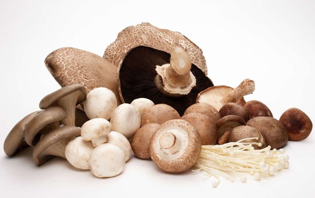 Idee per coltivare i funghi in casa