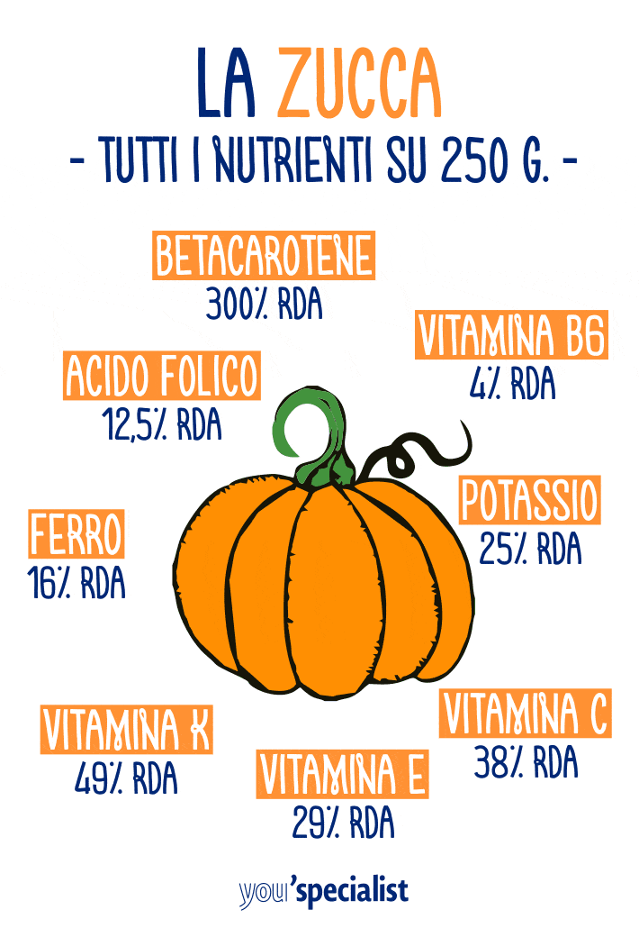 zucca proprietà