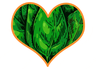Spinaci: fanno bene al cuore