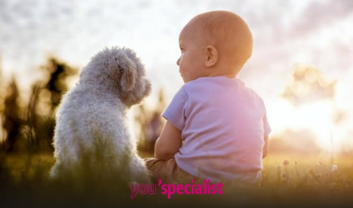 motivi per adottare un cane, il sistema immunitario