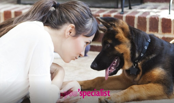 motivi per adottare un cane